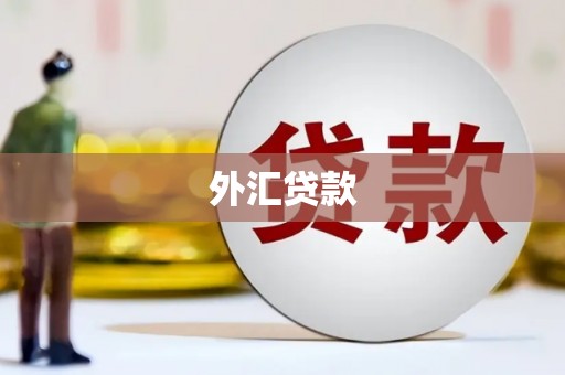 阿莲外汇贷款