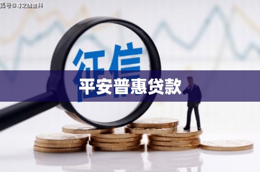 兴国平安普惠贷款