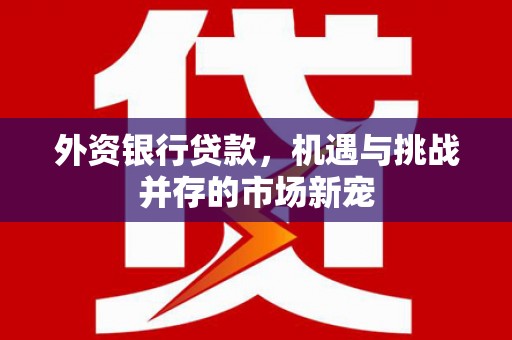 山西外资银行贷款，机遇与挑战并存的市场新宠