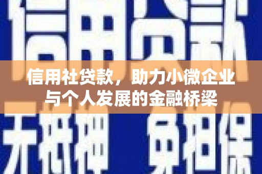 平镇信用社贷款，助力小微企业与个人发展的金融桥梁