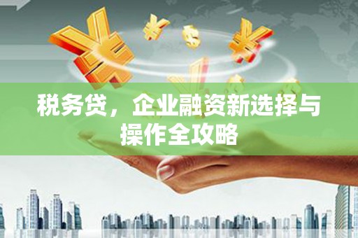 新营税务贷，企业融资新选择与操作全攻略