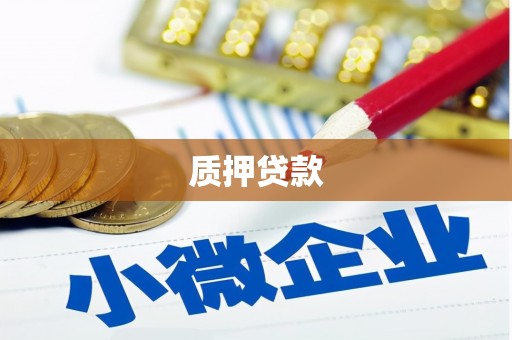 佛坪质押贷款