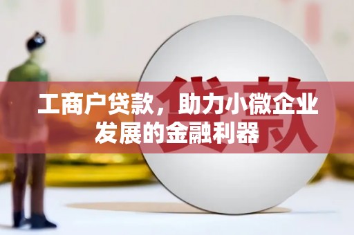 东乌旗工商户贷款，助力小微企业发展的金融利器