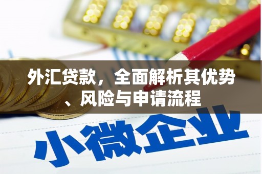 于洪外汇贷款，全面解析其优势、风险与申请流程