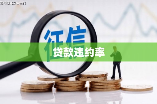 甘洛贷款违约率