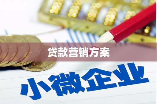 天峨贷款营销方案