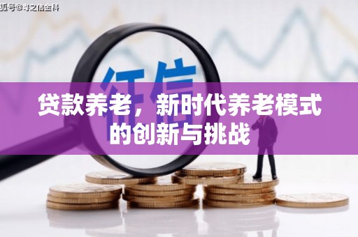 湖里贷款养老，新时代养老模式的创新与挑战