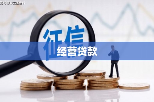 双河经营贷款