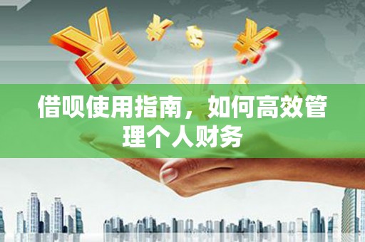 坪林借呗使用指南，如何高效管理个人财务