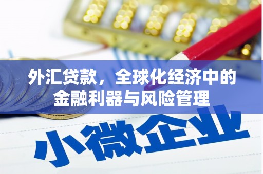 鄂伦春外汇贷款，全球化经济中的金融利器与风险管理