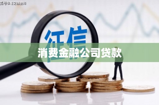 利辛消费金融公司贷款
