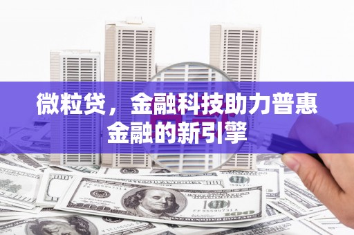 大洼微粒贷，金融科技助力普惠金融的新引擎