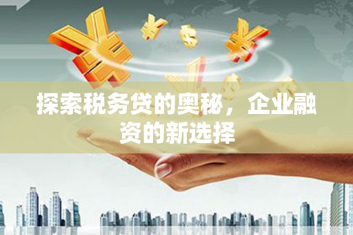 凉山探索税务贷的奥秘，企业融资的新选择