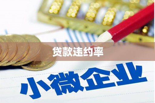 西吉贷款违约率