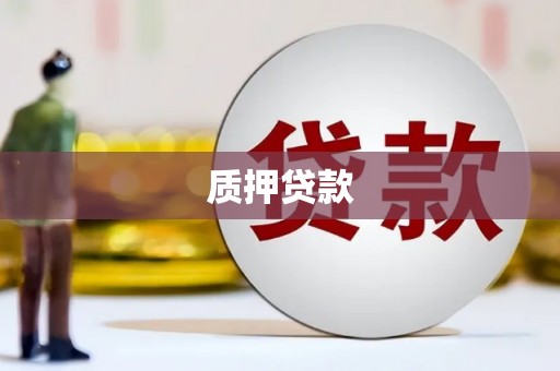 合川质押贷款