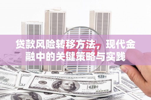 岭东贷款风险转移方法，现代金融中的关键策略与实践
