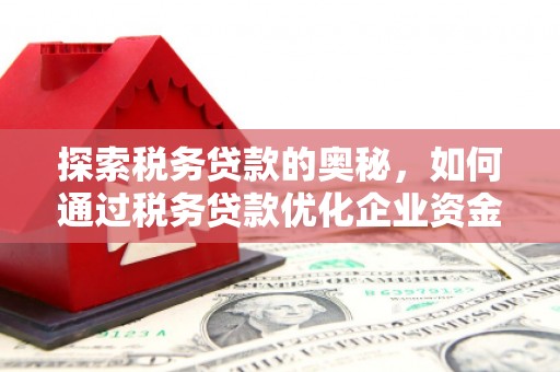 会同探索税务贷款的奥秘，如何通过税务贷款优化企业资金流