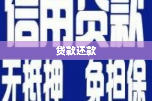 南海贷款还款
