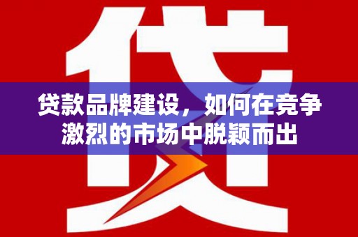岚皋贷款品牌建设，如何在竞争激烈的市场中脱颖而出