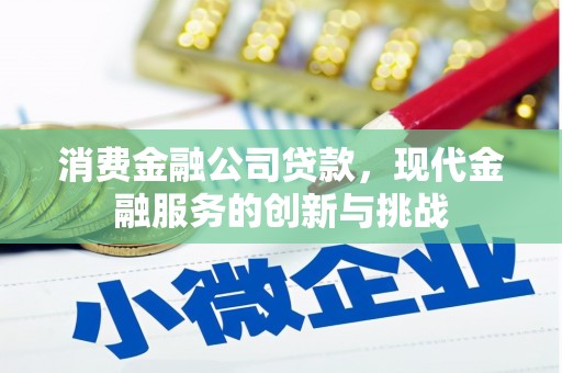 沈丘消费金融公司贷款，现代金融服务的创新与挑战