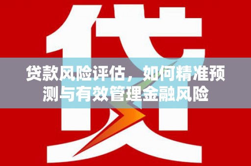 西市贷款风险评估，如何精准预测与有效管理金融风险