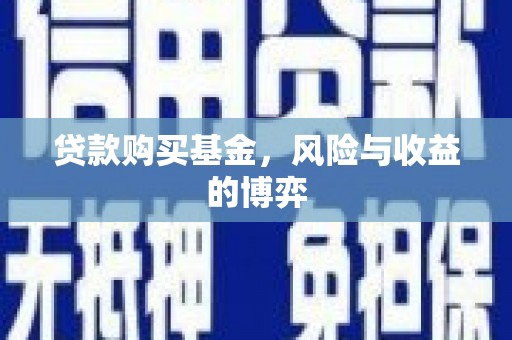 龙文贷款购买基金，风险与收益的博弈