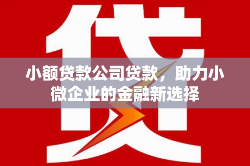 吕梁小额贷款公司贷款，助力小微企业的金融新选择