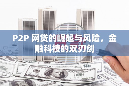 枋山P2P 网贷的崛起与风险，金融科技的双刃剑