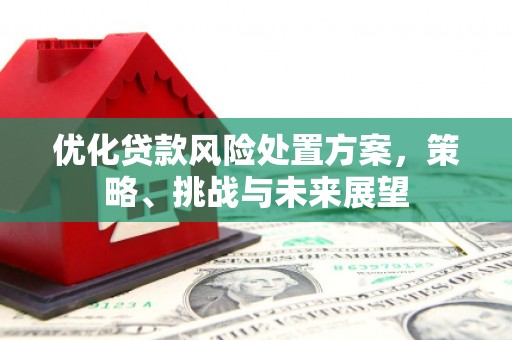 秭归优化贷款风险处置方案，策略、挑战与未来展望
