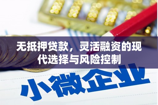 潍坊无抵押贷款，灵活融资的现代选择与风险控制