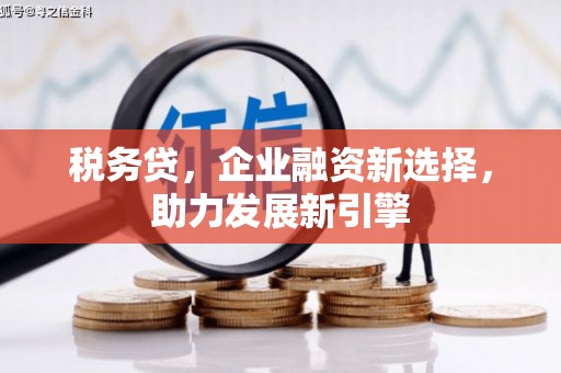 特克斯税务贷，企业融资新选择，助力发展新引擎