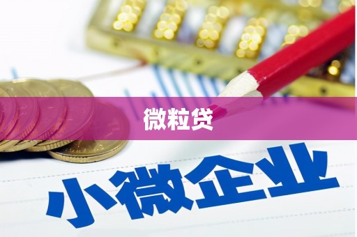 涵江微粒贷