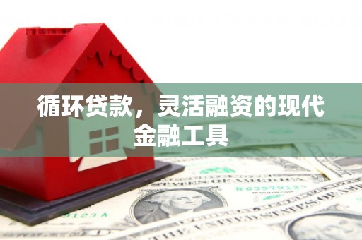 共和循环贷款，灵活融资的现代金融工具