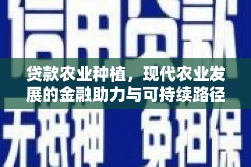 漯河贷款农业种植，现代农业发展的金融助力与可持续路径