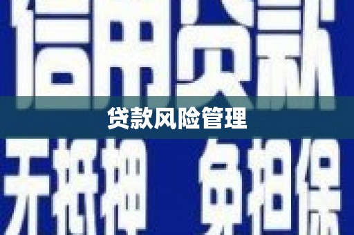 天津贷款风险管理