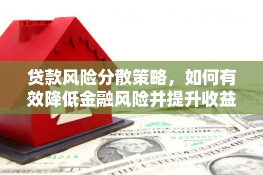安康贷款风险分散策略，如何有效降低金融风险并提升收益