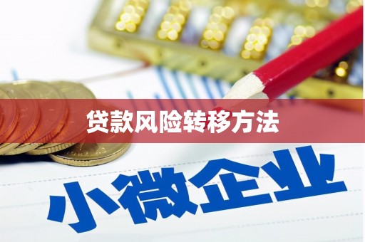 陇川贷款风险转移方法