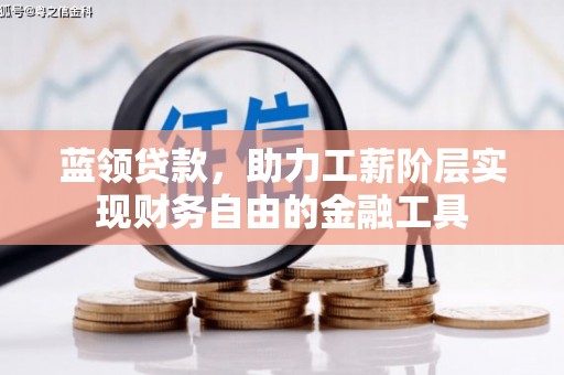 务川蓝领贷款，助力工薪阶层实现财务自由的金融工具