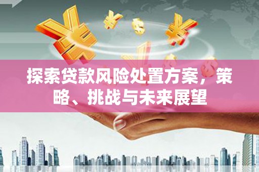 麦积探索贷款风险处置方案，策略、挑战与未来展望