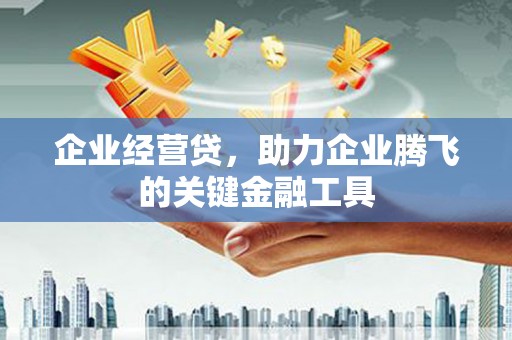 黄圃企业经营贷，助力企业腾飞的关键金融工具