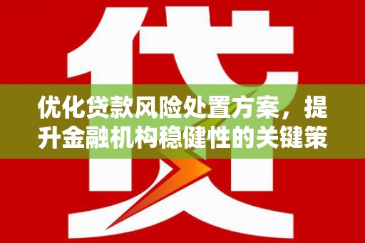 单县优化贷款风险处置方案，提升金融机构稳健性的关键策略