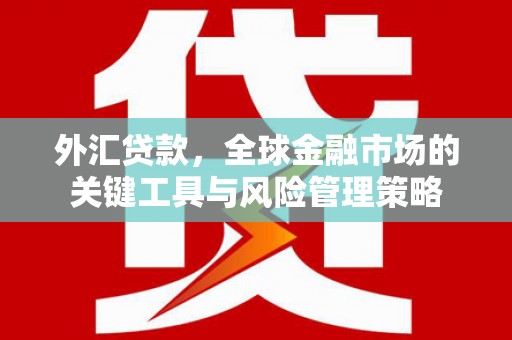 称多外汇贷款，全球金融市场的关键工具与风险管理策略