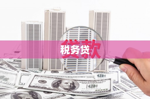 大林税务贷