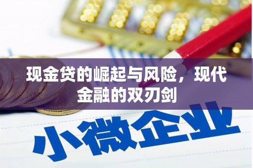 长寿现金贷的崛起与风险，现代金融的双刃剑