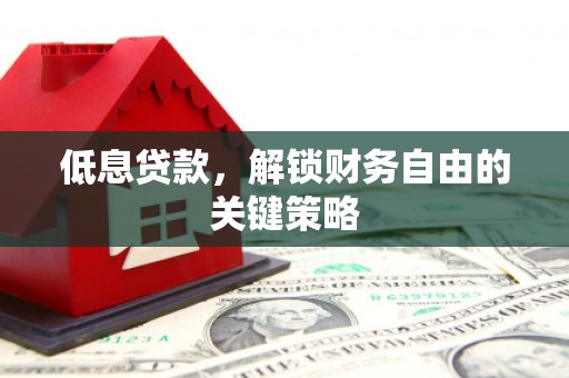 金普新区低息贷款，解锁财务自由的关键策略