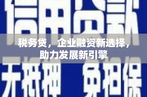 朴子税务贷，企业融资新选择，助力发展新引擎