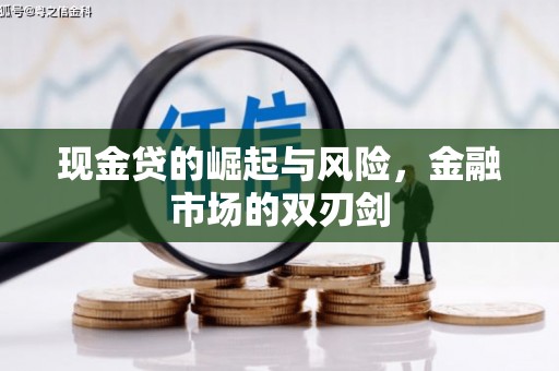 岳麓现金贷的崛起与风险，金融市场的双刃剑