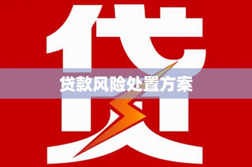 郎溪贷款风险处置方案