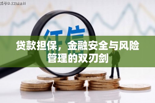 成都贷款担保，金融安全与风险管理的双刃剑