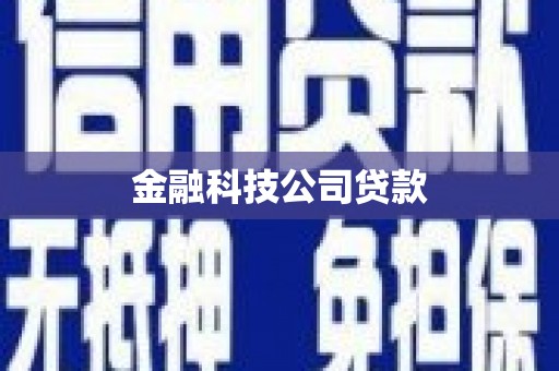 包河金融科技公司贷款